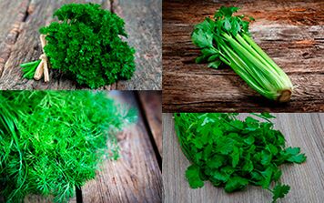 Parsley, celery, dill and coriander should be introduced into a man's diet to increase potency
